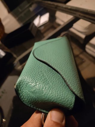 Funda Gafas Loewe Verde
