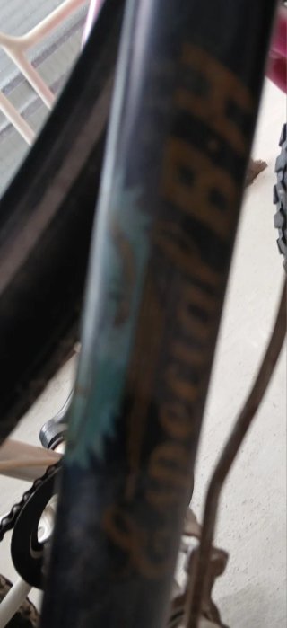 Bicicleta Antigua BH