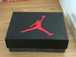 JORDAN 3 RETRO PURÉ MONEY