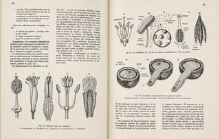 ENCICLOPEDIA COMPLETA "MÁS ACTUAL" ED. LAFER