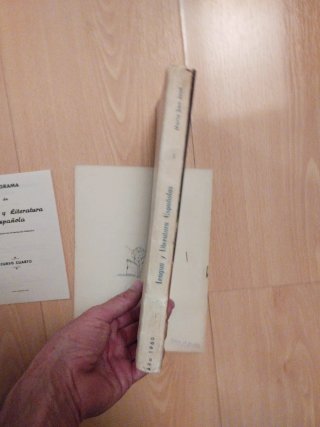 Libro antiguo de lengua y literatura.