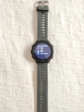Reloj Garmin Forerunner 245 Gris