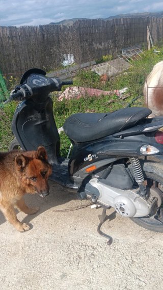Piaggio Liberty 125cc Scooter Negra