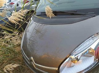 1461749 00946602 piloto trasero derecho citroen c4