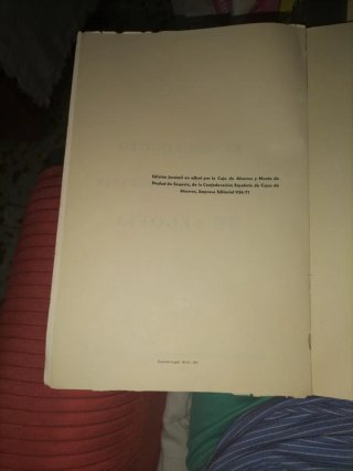 El acueducto y otras antigüedades de Segovia