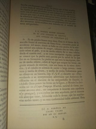 El acueducto y otras antigüedades de Segovia