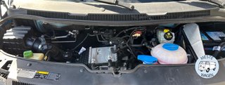 Volkswagen Transporter T6 BICOLOR 2019