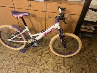Bicicleta niña 6-9 años