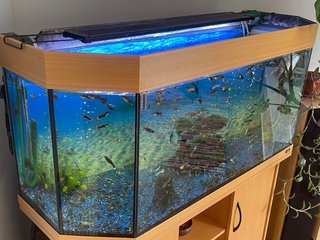 Acuario completo Juwell 240 l con mueble URGE
