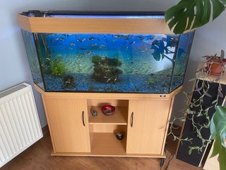 Acuario completo Juwell 240 l con mueble URGE
