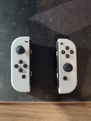 Nintendo Switch Gris y Blanco