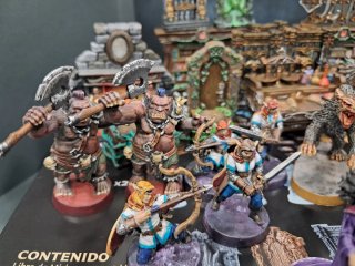 Pedido Ander. Heroquest exp y fanmade. Vol2
