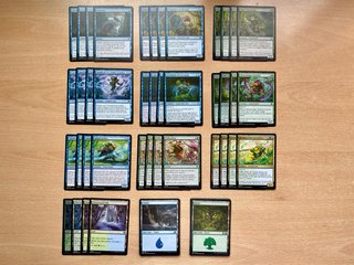 Pack 6 mazos Bloomburrow Magic