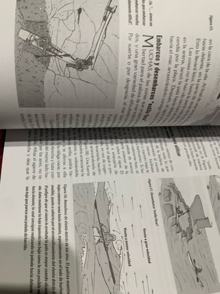 Kayak de mar: Manual completo