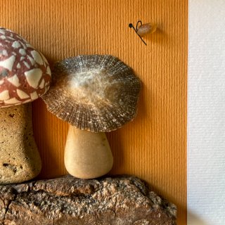 Quadretto Funghi nel Bosco con Pietre e Conchiglie
