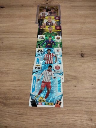 Lote Tarjetas Panini Fútbol