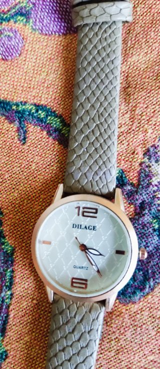 Reloj DILAGE Gris y Plateado