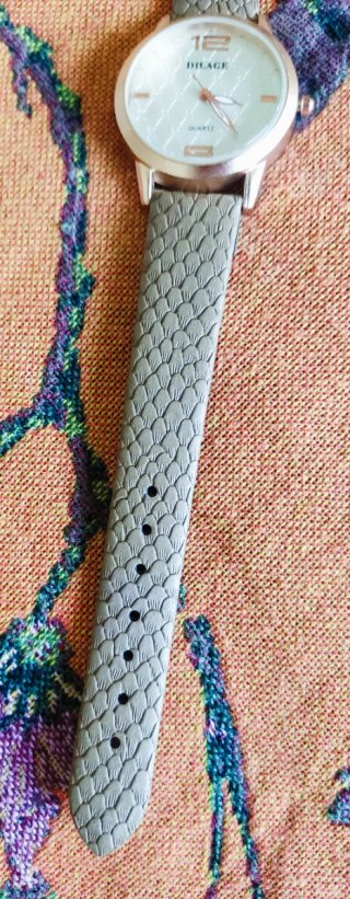 Reloj DILAGE Gris y Plateado