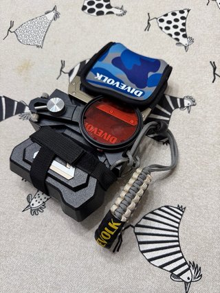 Divevolk iPhone 16 Pro Max Sea Touch 4 max