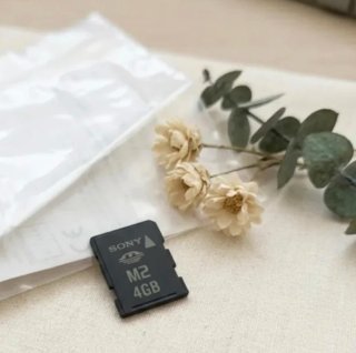 Tarjeta Sony M2 4GB