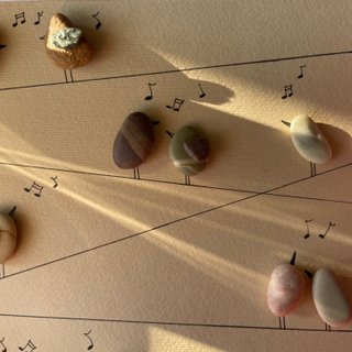 Quadretto Sinfonia di Uccellini