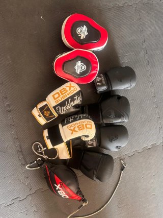 Saco y guantes de boxeo Bushido