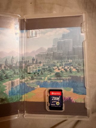 The Legend of Zelda: Echoes of Wisdom Switch