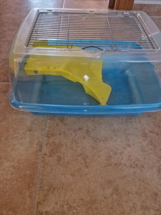 Recipiente tortugas acuario transparente