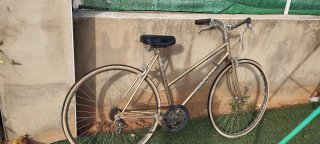 Bicicleta Orbea Clásica Dorada