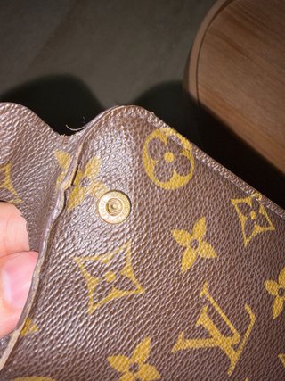 Funda Gafas Louis Vuitton Monogram Marrón