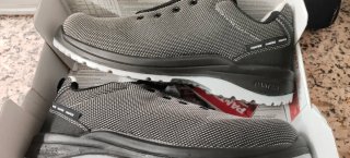 Zapatos de seguridad Panter