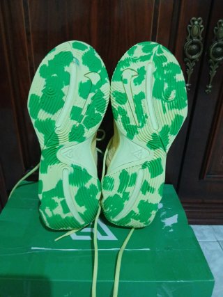 Zapatillas Nike Giannis Verdes y Amarillas