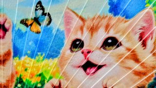 Abanico gatitos y mariposas de alegres colores.