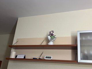 Estantería y vitrina de pared