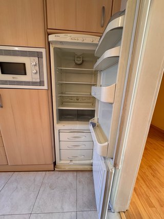 Frigorífico Edesa Style 172cm Congelador