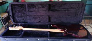 Basso Ibanez RDGR500