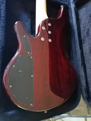 Basso Ibanez RDGR500