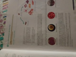Biología y Geología 3º ESO. Libro del estudiant...