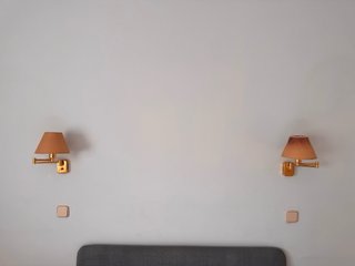 Pareja Apliques Pared Dorados Articulados