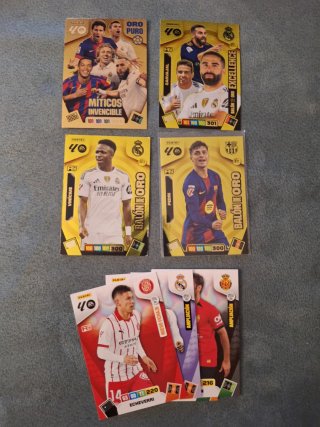 Panini Adrenalyn XL Cromos Varios