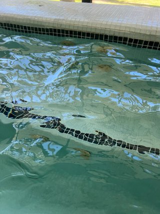Piscina de obra con revestimiento de gresite.