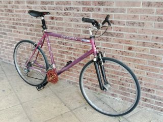 Bicicleta Orbea Dakar Series-Pro Morada