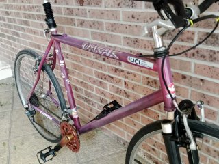 Bicicleta Orbea Dakar Series-Pro Morada