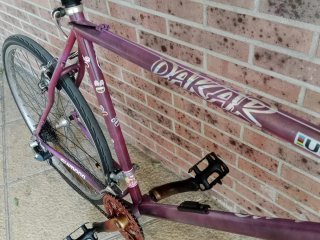Bicicleta Orbea Dakar Series-Pro Morada