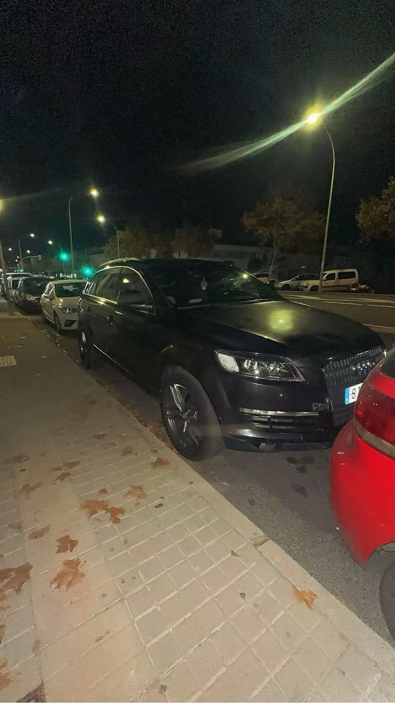 Audi Q7 2009 - foto 1