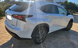 Lexus NX 2015