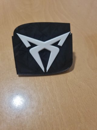 Manija Trasera Seat Leon 1P1