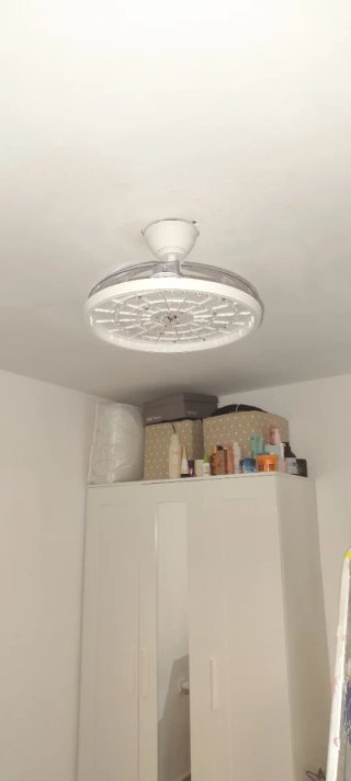 Lámpara ventilador de techo