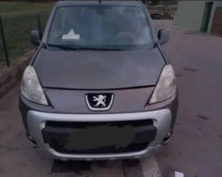 Coche Peugeot