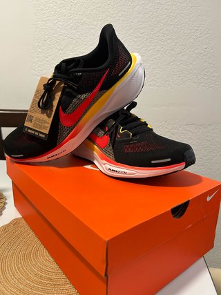 Nike Pegasus 41 Negro/Rojo